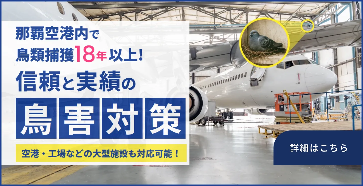 鳥害対策