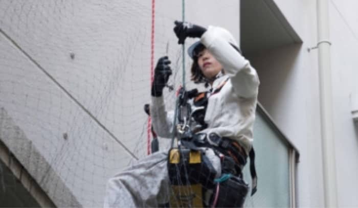 建物内への鳥獣侵入対策｜沖縄での捕獲実績と対応方法